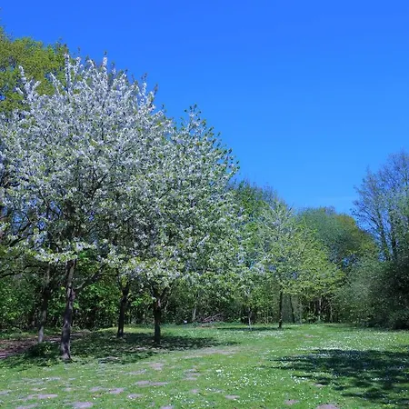 Panoramic App A02-9 Schick-lounge