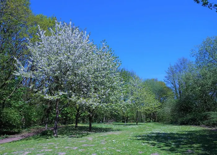 Panoramic App A02-9 Schick-lounge